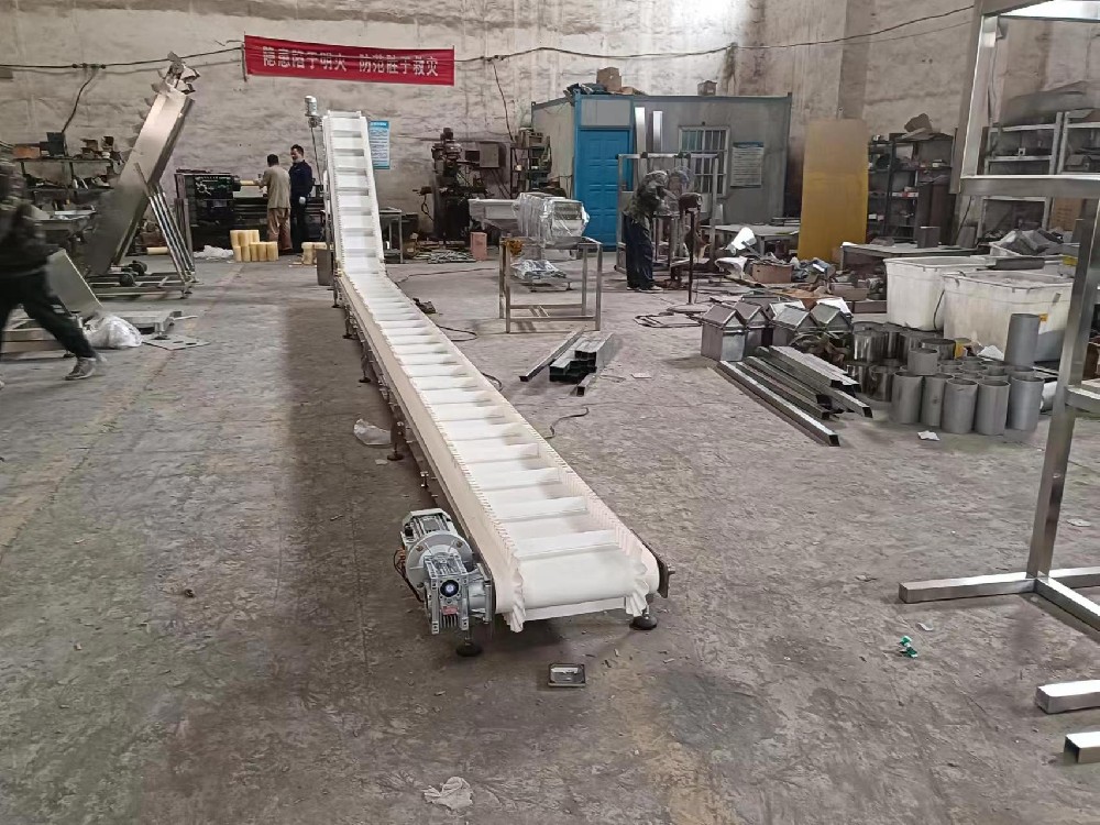 景德鎮Z型裙邊皮帶給料機